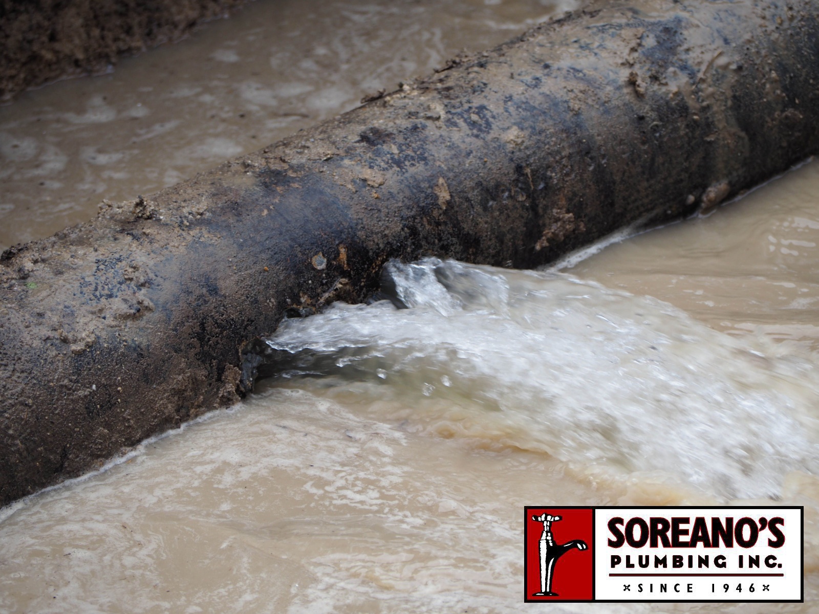 Recognize When You Need Expert Water Main Line Repair