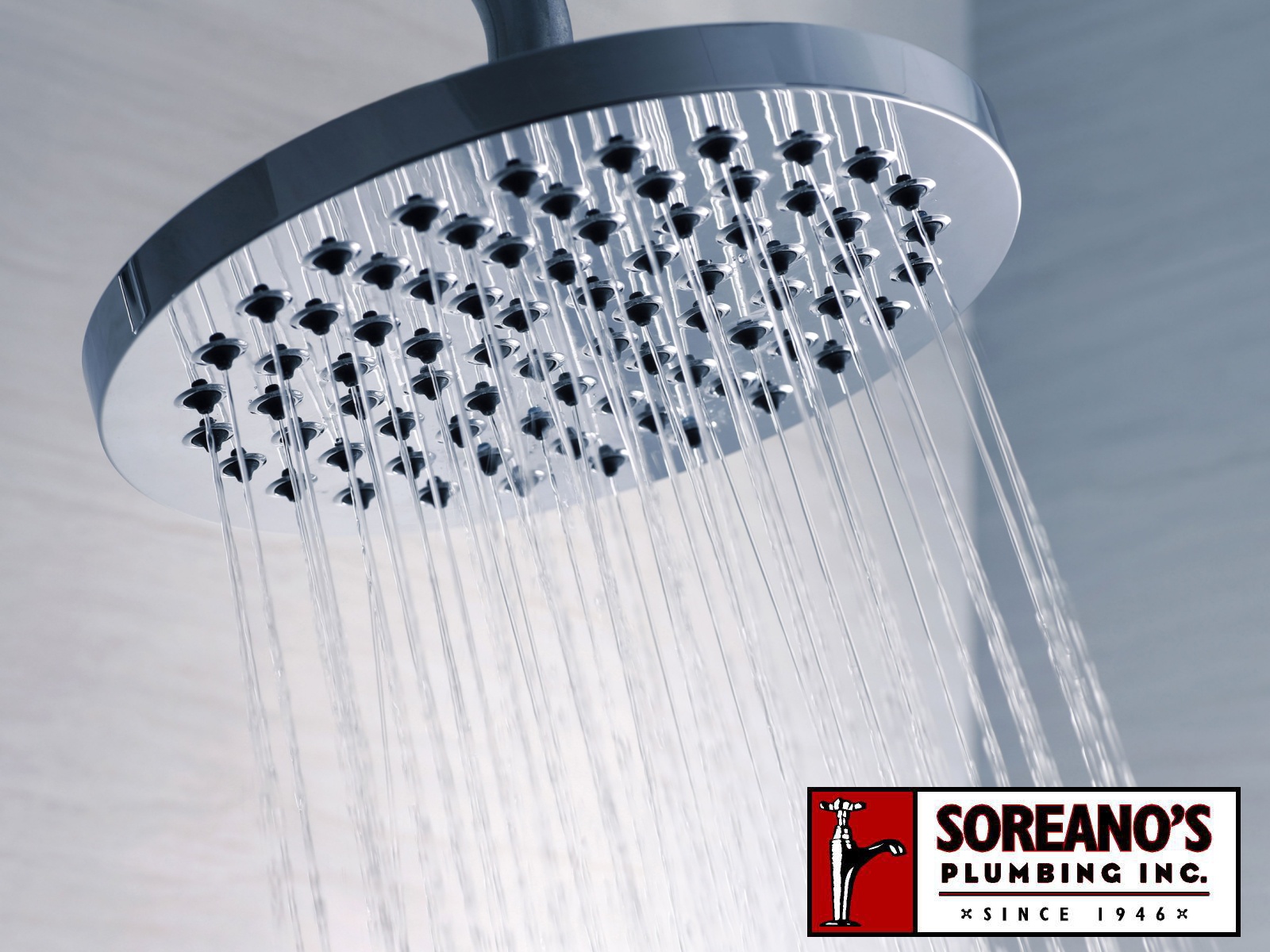 Shower Head Replacement in Redmond by Soreano's Plumbing