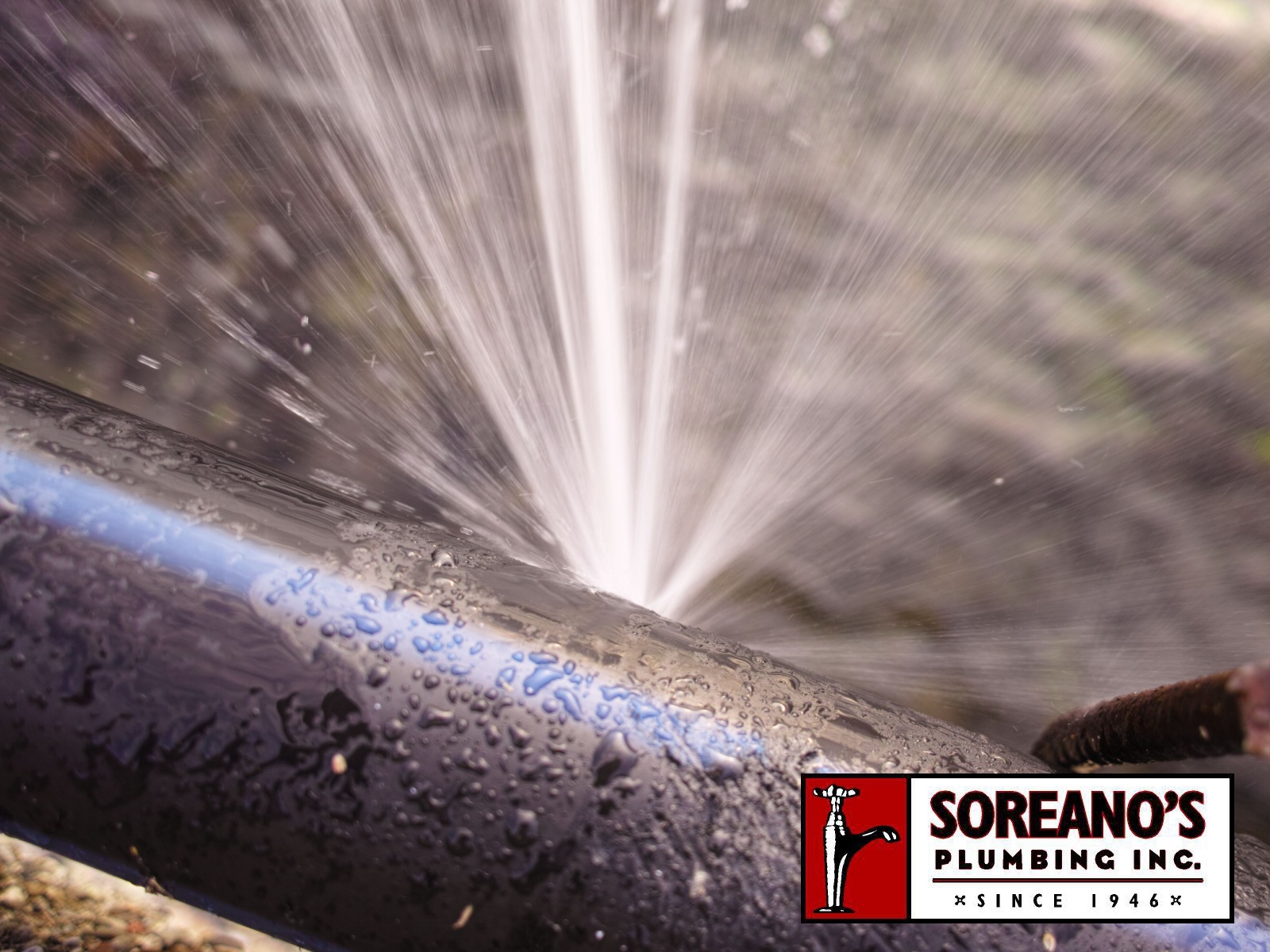 Fix Your Flow with Our Broken Pipe Services